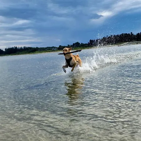 6 Person In Hadsund-by Traum *